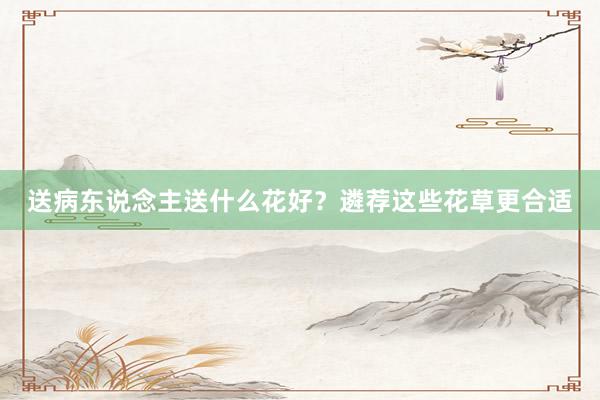 送病东说念主送什么花好？遴荐这些花草更合适